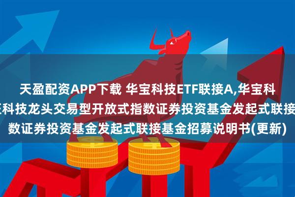 天盈配资APP下载 华宝科技ETF联接A,华宝科技ETF联接C: 华宝中证科技龙头交易型开放式指数证券投资基金发起式联接基金招募说明书(更新)